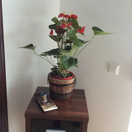 Sanhe Hotel apartamentowy